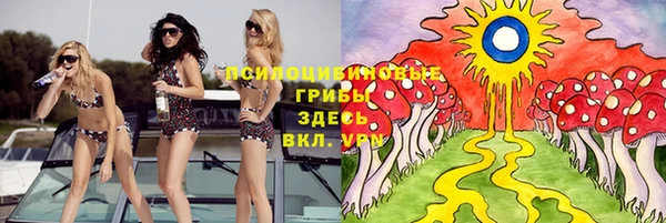 ALPHA-PVP Козловка